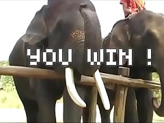 Pattaya Adventure: Wild and Thrilling Sex Escapades